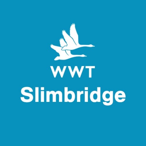 WWT Slimbridge logo