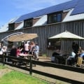 Image shows the Orchard Trust main barn with people enjoying refreshments on the patio with accessible picnic benches and large parasols
