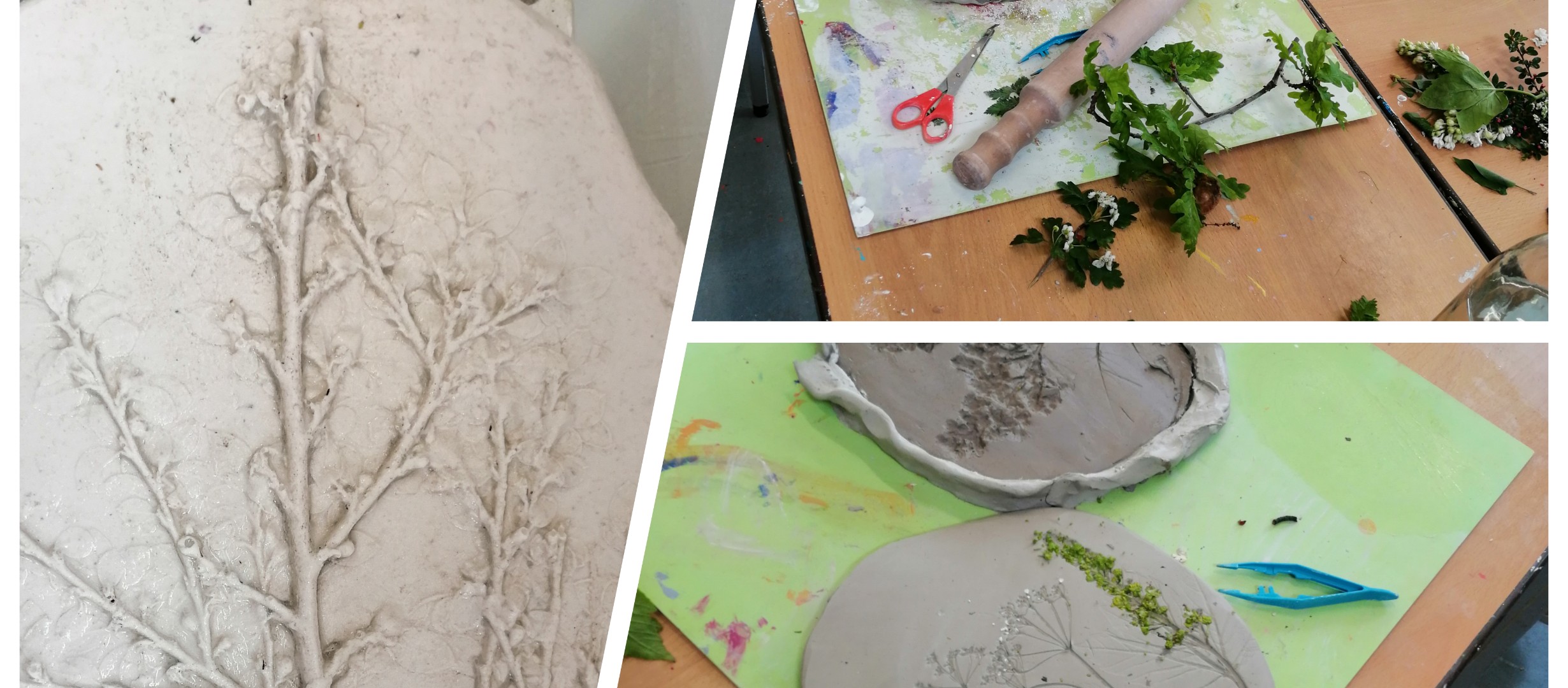 montage of photos of plants cast in plaster