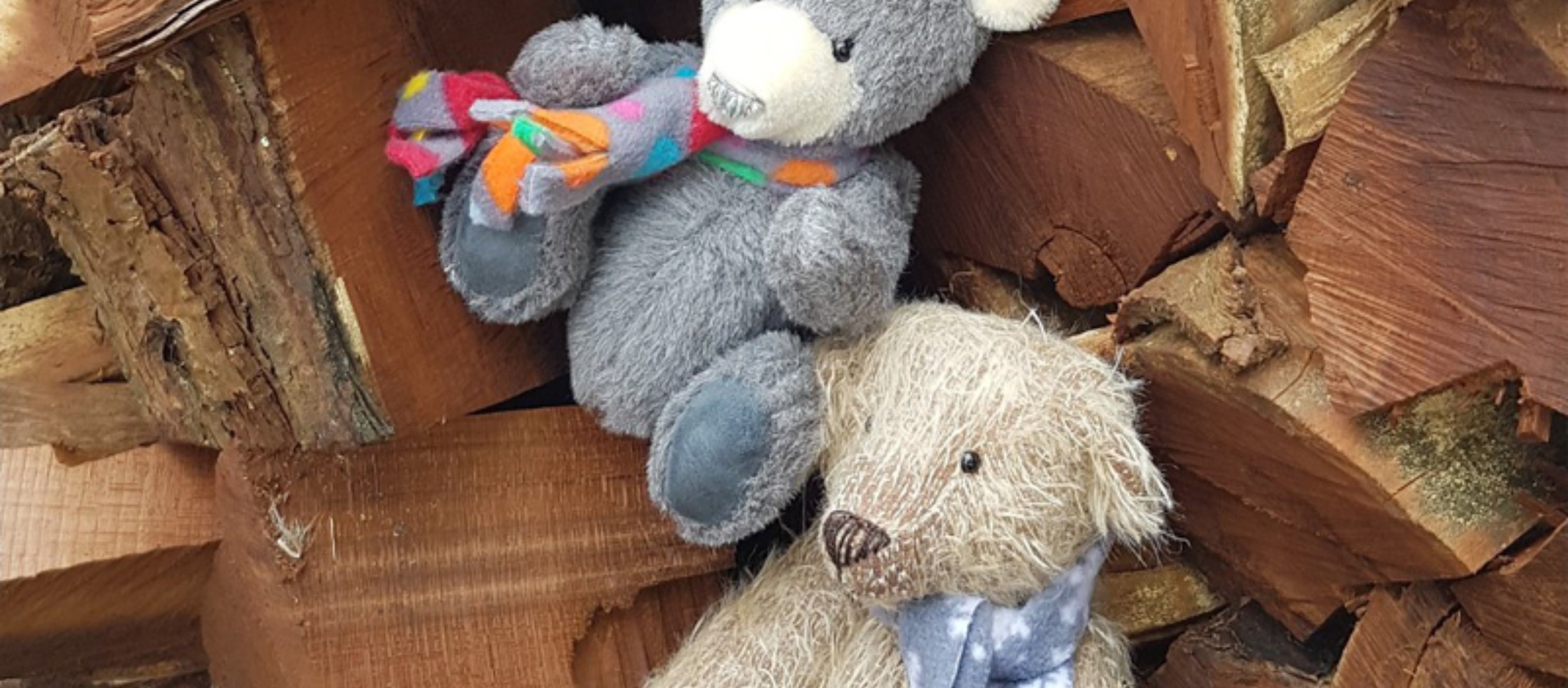photo of 2 teddy bears sitting on a log pile