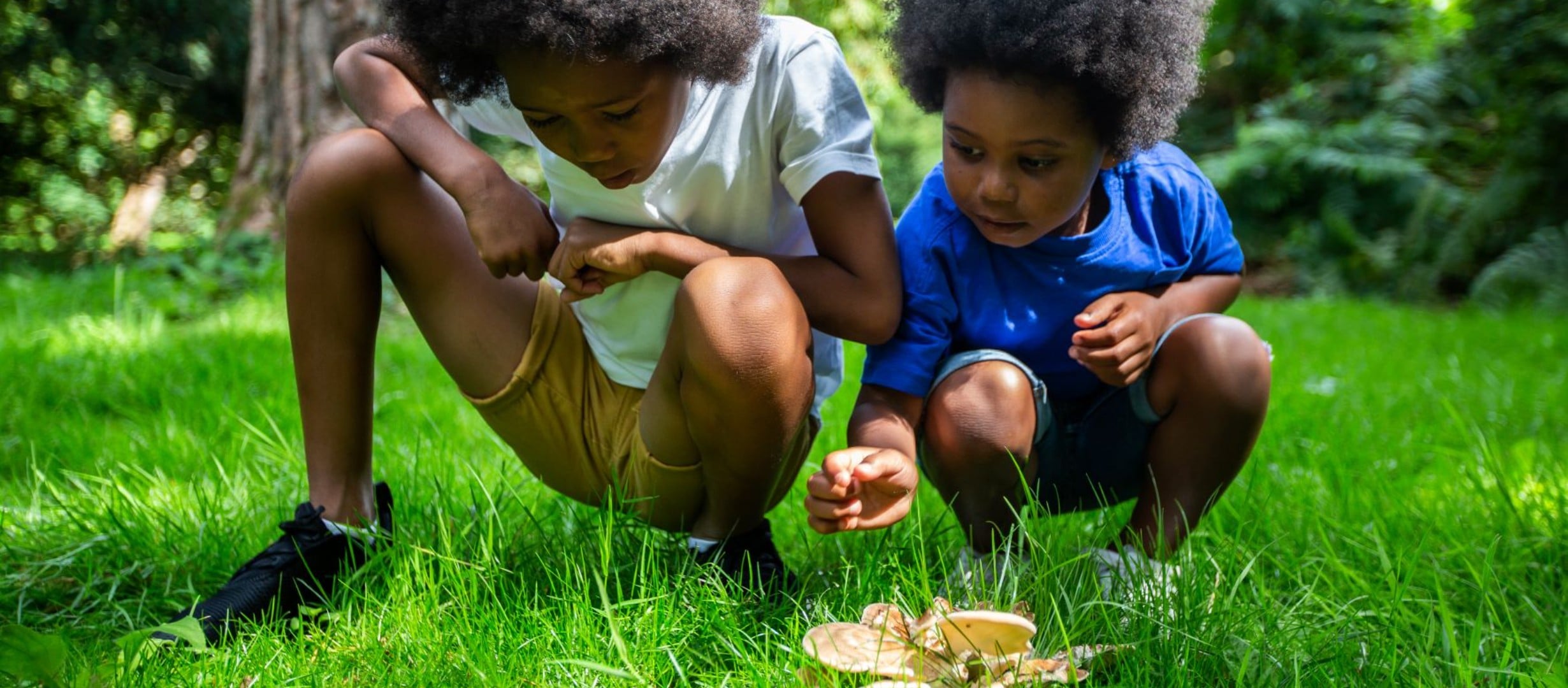 Westonbirt Arboretum