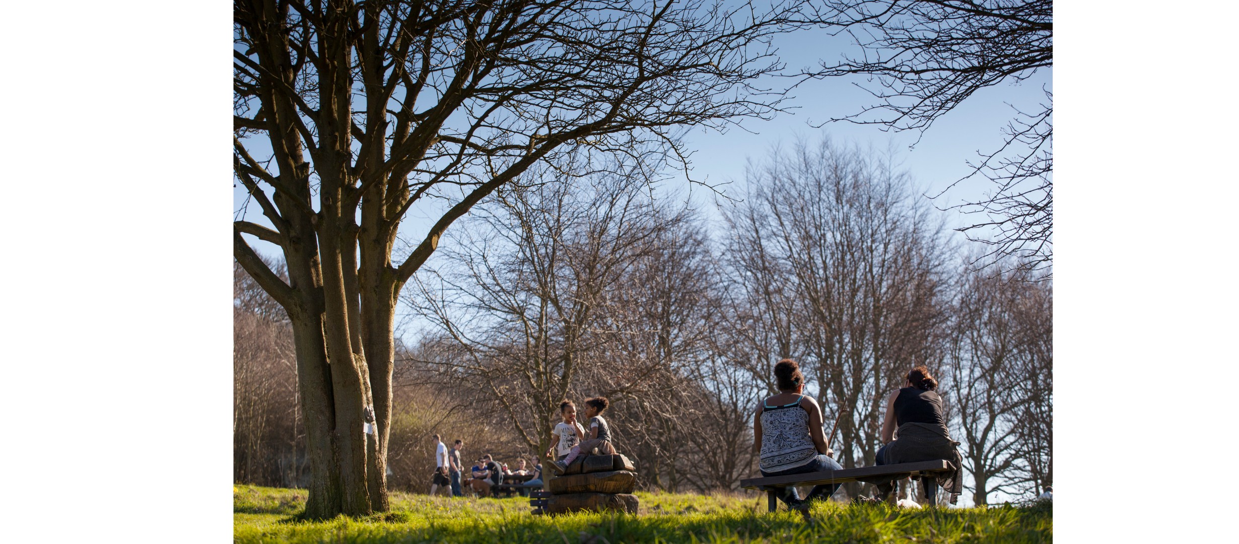 park scene with people enjoying the space