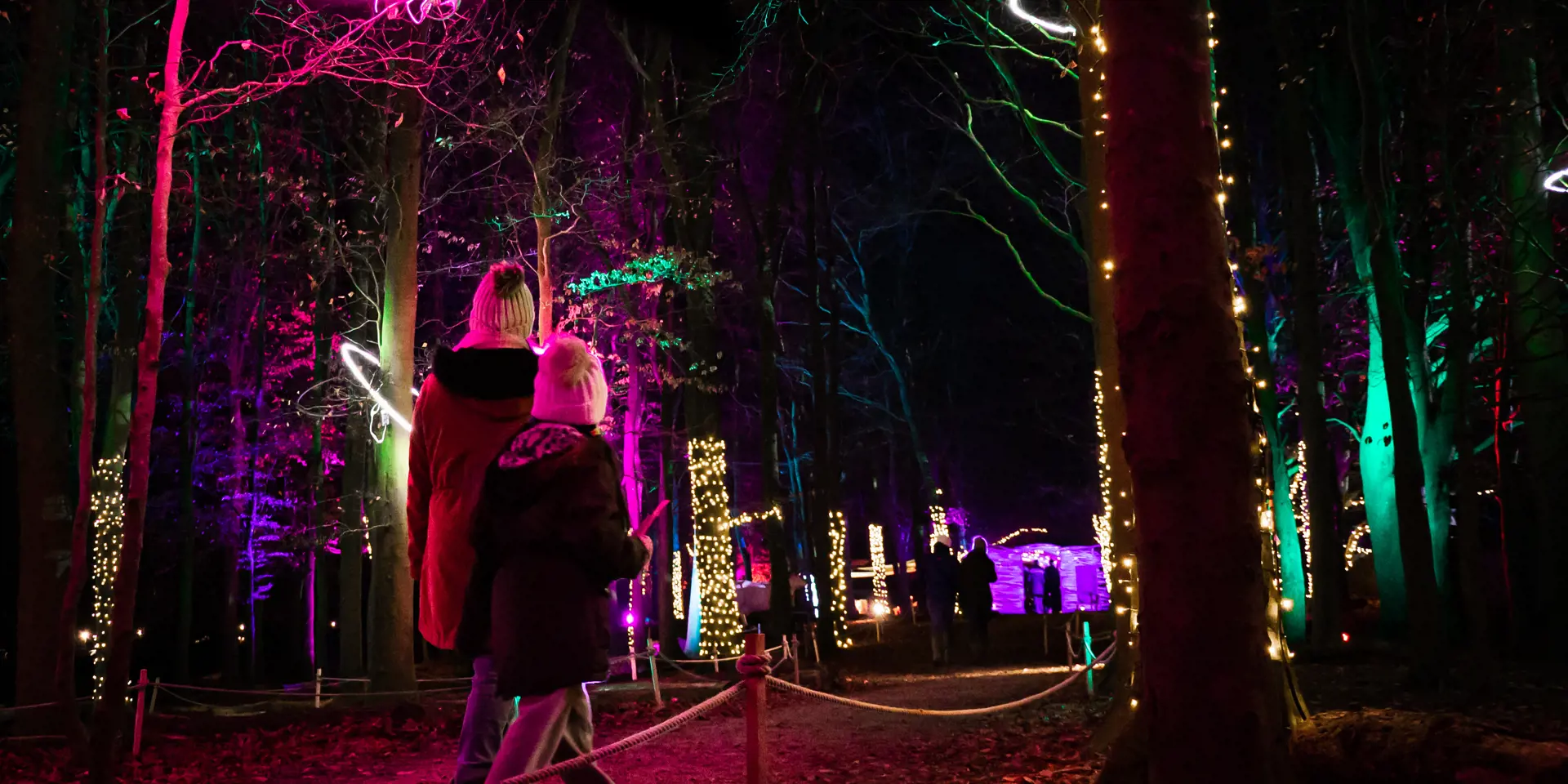 Ana dult and a a child walking through an illuminated forest which is shining in colours of pink, purple and green.