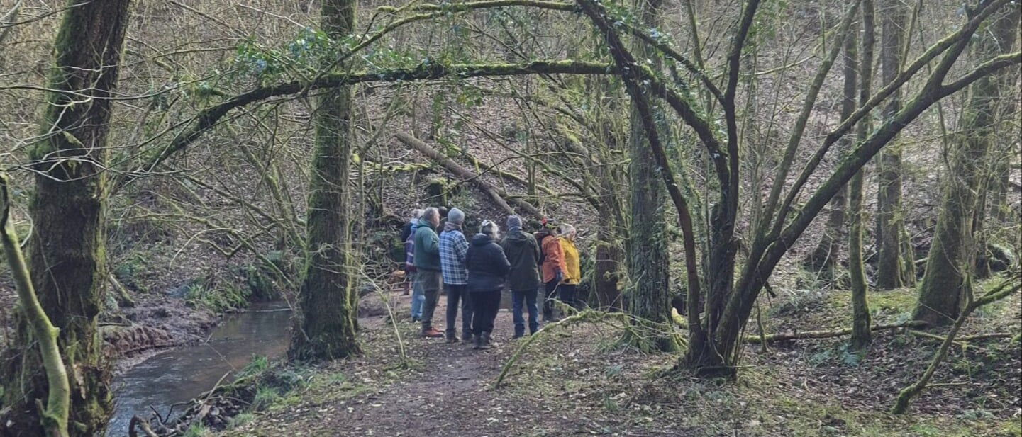 Group of people being mindful in the forest by a babbling stream