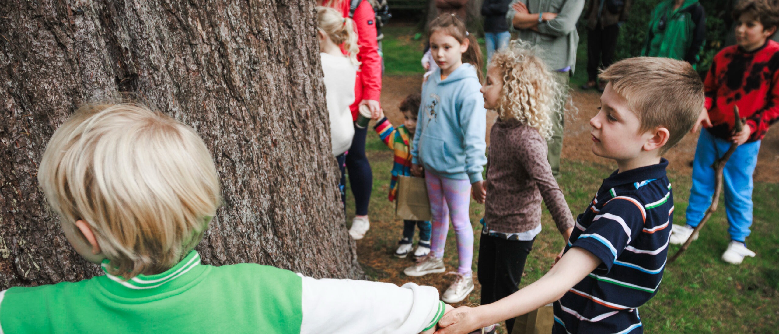 Colour photo of group of children holding hands, making a circle around a large tree trunk.
