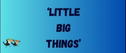Large text saying Little Big Things on a blue background with two Toucans