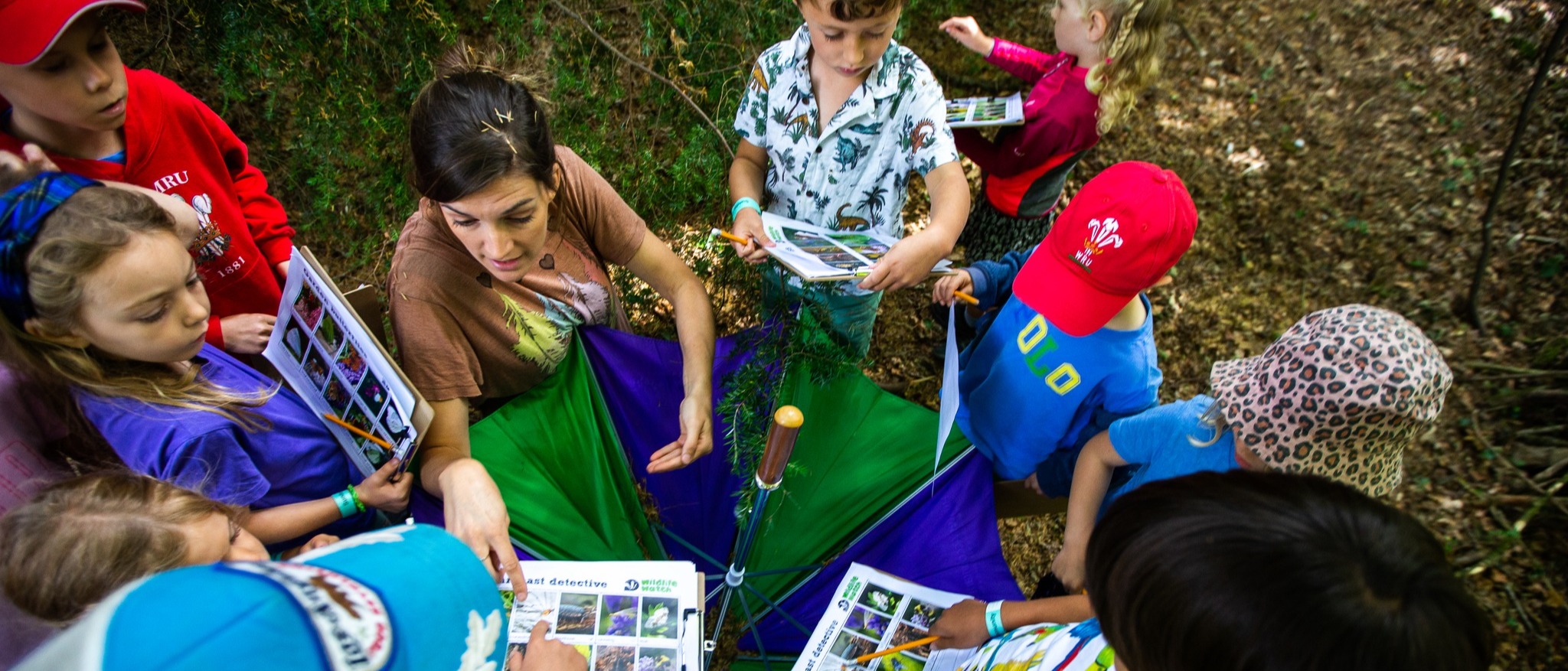 children sitting in circle on grass as adult reads book to them