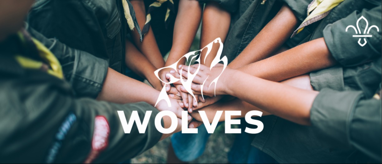 A group of children's hands are in a circle, with the Wardens Hill Wolves logo on top